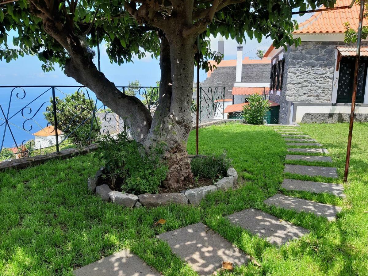 Casa Velha D Fernando E Casa Avo Augusta Hotel ริเบรา บราวา ภายนอก รูปภาพ
