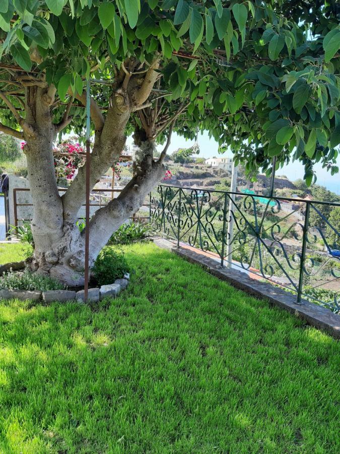 Casa Velha D Fernando E Casa Avo Augusta Hotel ริเบรา บราวา ภายนอก รูปภาพ